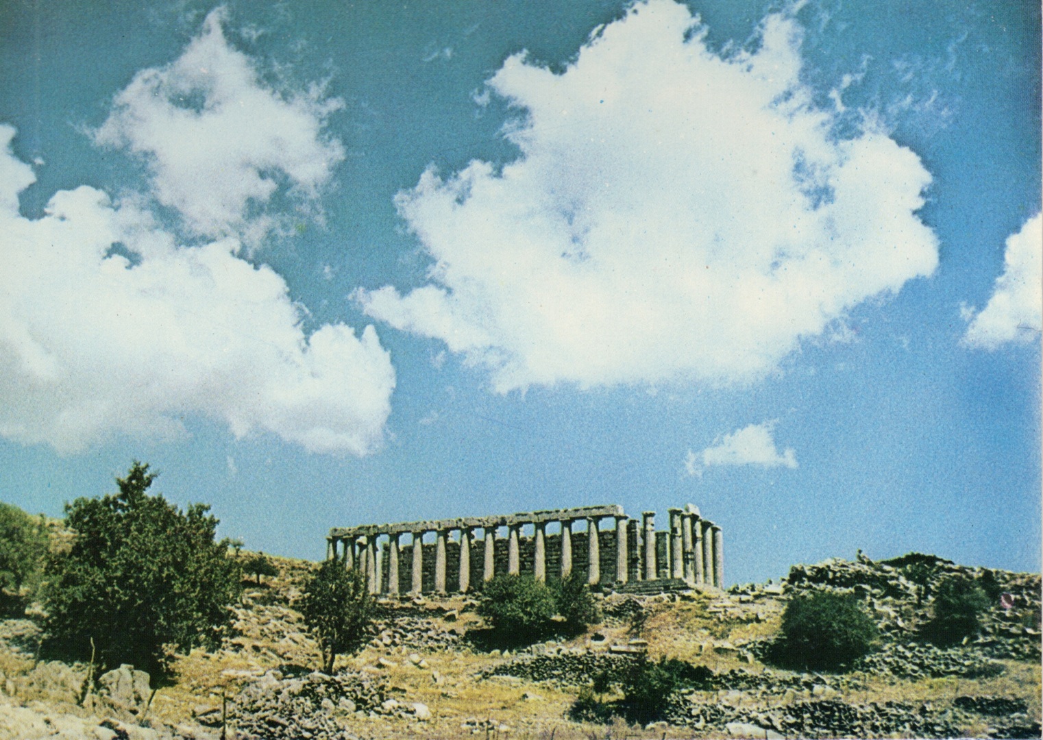 Temple of Apollo at Bassae artifact