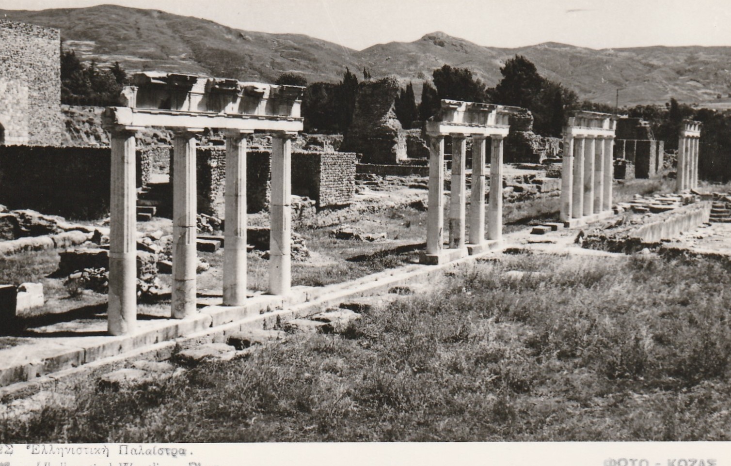 Hellenistic Gymnasium at Kos  artifact